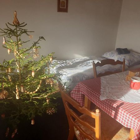 Apartman U Muzikanta Чески-Крумлов Экстерьер фото